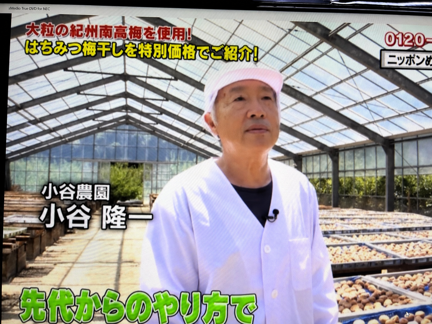 梅を干す作業場でのテレビ取材の様子。画面には小谷農園、小谷隆一と表示されています